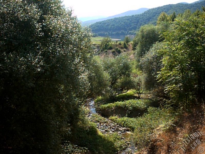 View of Termal-Gokcedere Village in Yalova city of Turkey.
