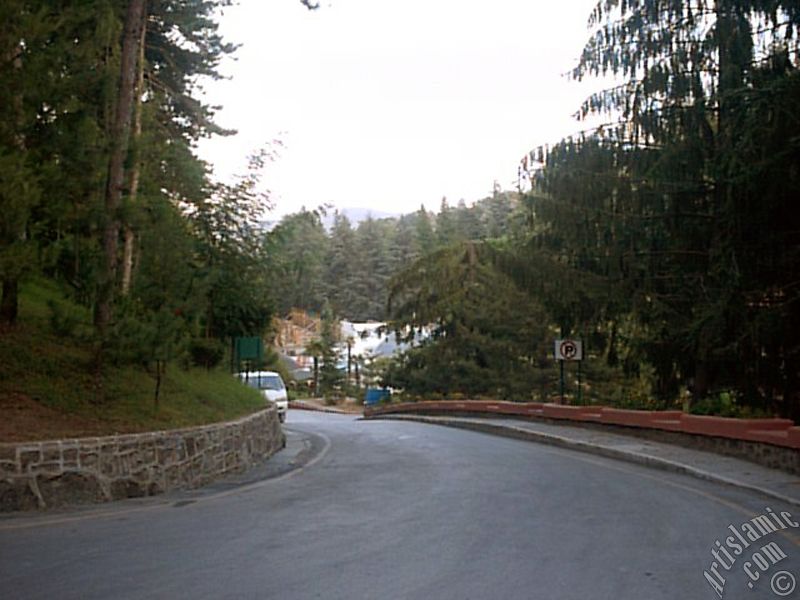 View of Termal-Gokcedere Village in Yalova city of Turkey.
