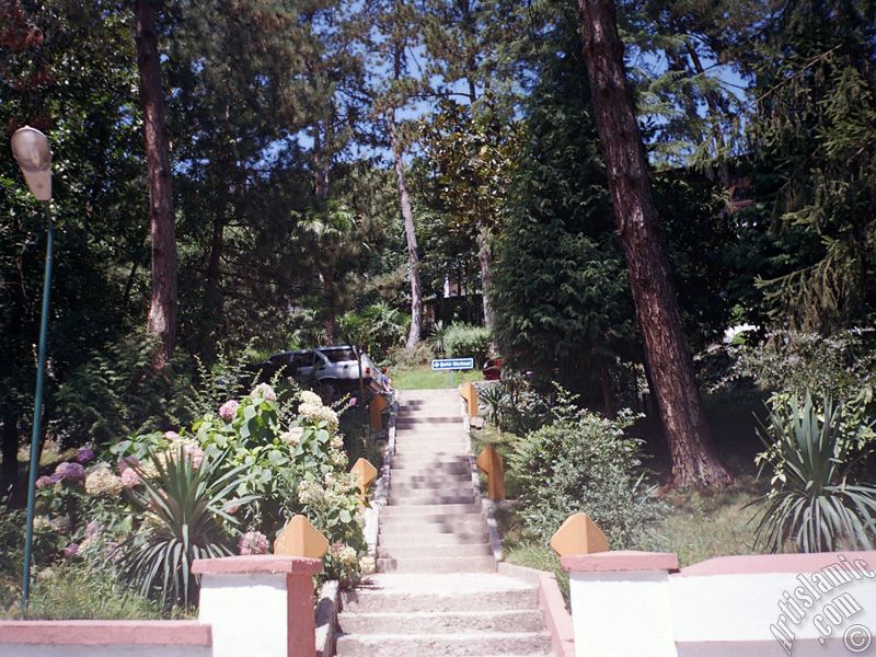 View of Termal-Gokcedere Village in Yalova city of Turkey.
