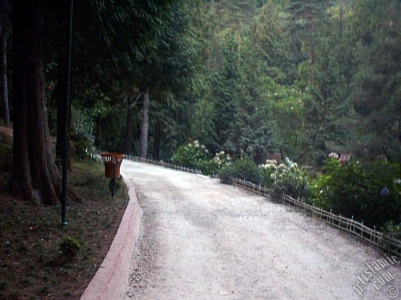 View of Termal-Gokcedere Village in Yalova city of Turkey.
