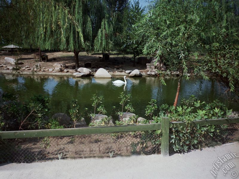 View of Bursa city`s zoo in Turkey.
